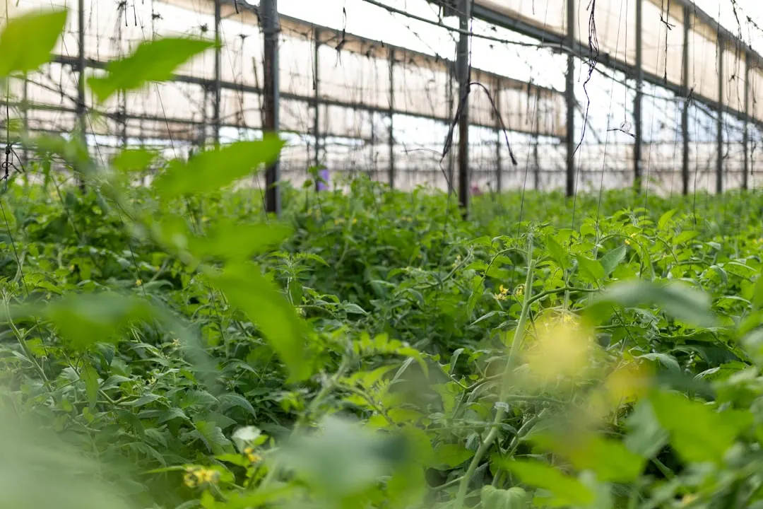 海南企业名片设计定制方案:从材质选型到印刷工艺全解析